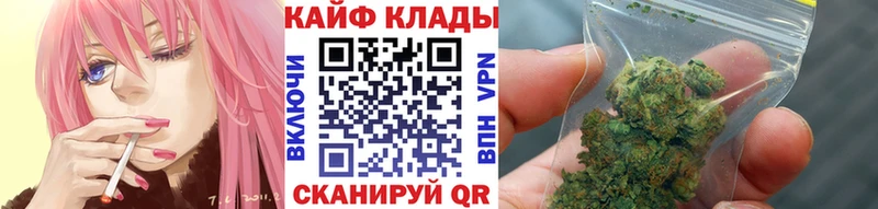 Названия наркотиков Шенкурск ГАШИШ  Псилоцибиновые грибы  ТГК  Конопля  Меф  COCAIN  A PVP 