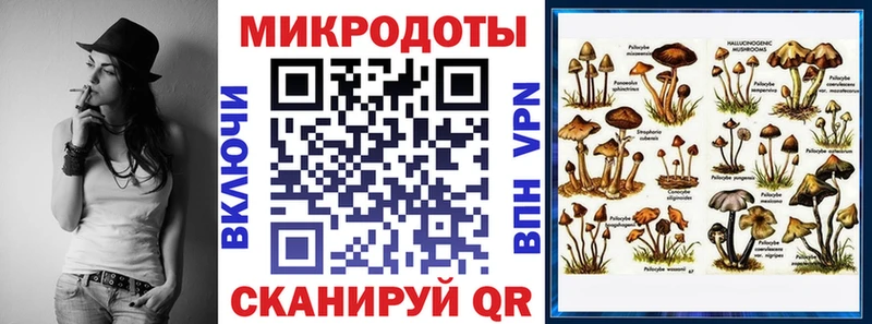 ссылка на мегу ссылки Шенкурск Псилоцибиновые грибы MAGIC MUSHROOMS