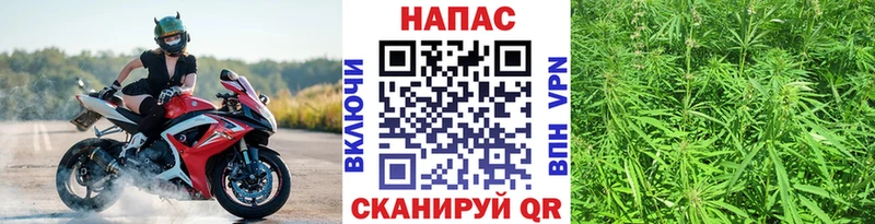 Конопля Amnesia  Шенкурск 